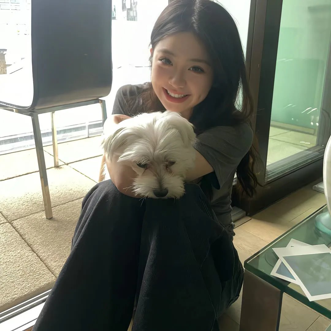 我的渡劫指南段先生